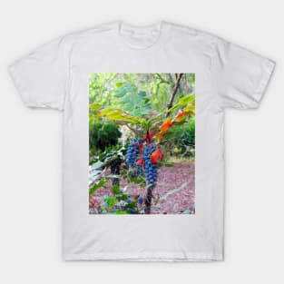 Grapes T-Shirt